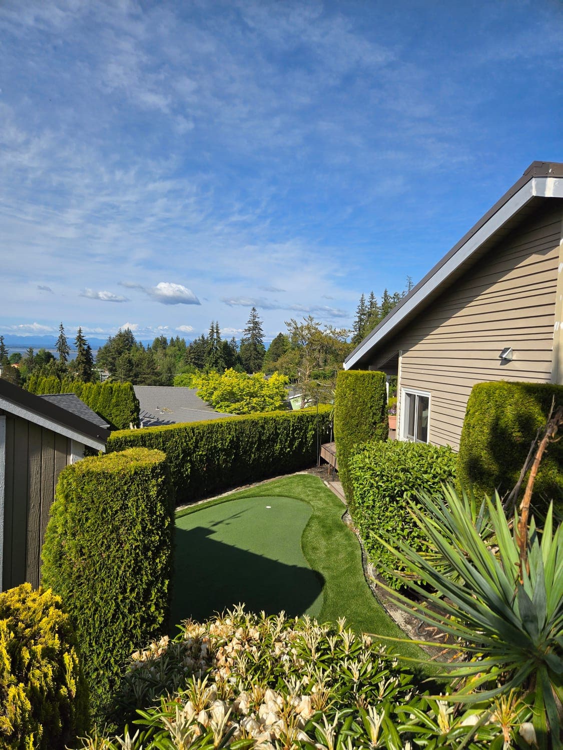 Backyard putting green on a hillside lot framed by hedges with a territorial view